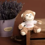 MAIMUȚICĂ DE PLUȘ - imagine 2